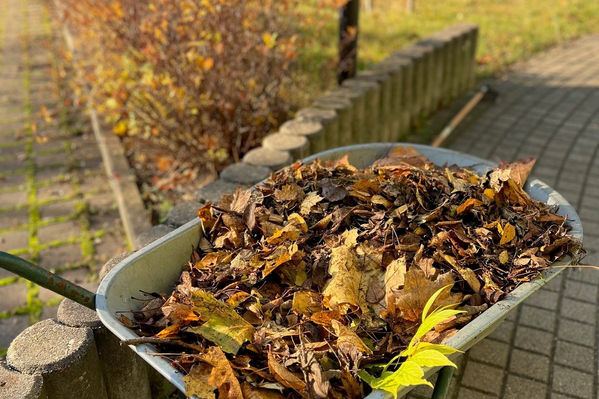 Titelbild für Beitrag: Herbstlicher Arbeitseinsatz