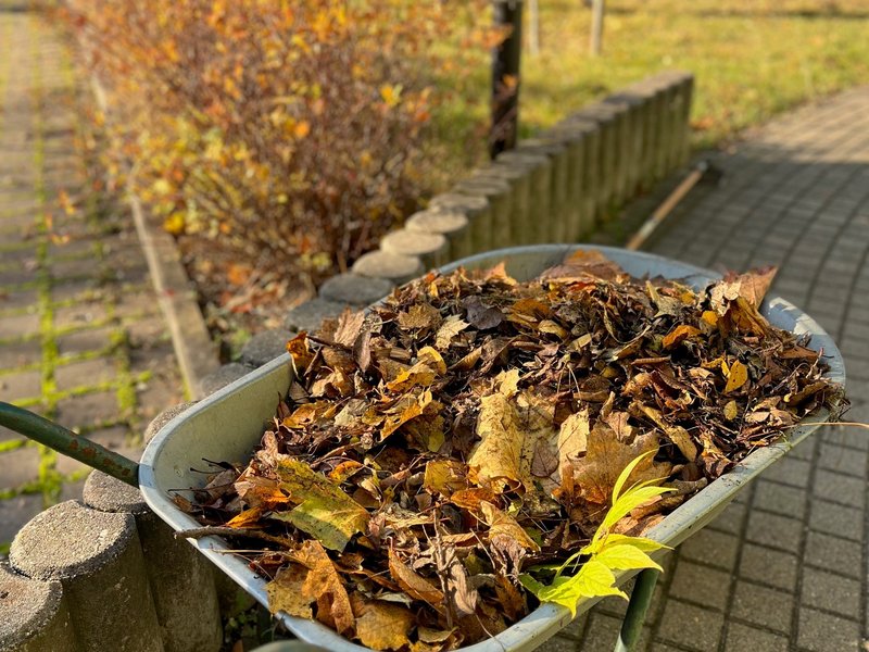 Titelbild für Beitrag: Herbstlicher Arbeitseinsatz